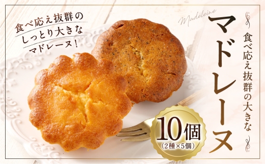 大きい！マドレーヌ（プレーン・紅茶） 10個 お菓子 菓子 デザート スイーツ マドレーヌ ビッグ BIG プレーン 紅茶