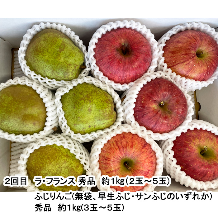 【定期便3回】秋から始まる！山形もぐもぐフルーツ定期便 