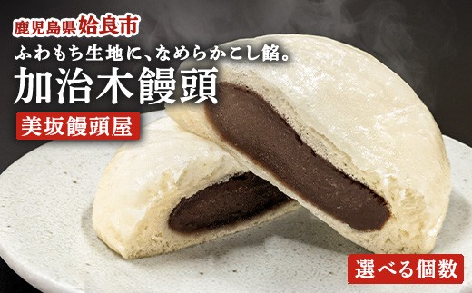 
            a1049 《選べる個数》1823年創業「美坂屋」 加治木まんじゅうセット(10個・20個)【姶良市特産品協会】姶良市 酒まんじゅう 和菓子 まんじゅう 饅頭 加治木饅頭 手づくり お菓子 おやつ スイーツ デザート お茶請け お茶菓子 郷土菓子
          