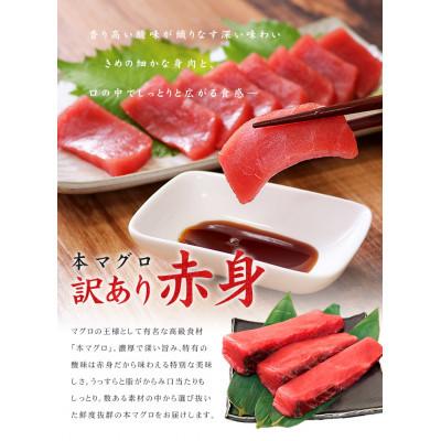 ふるさと納税 いわき市 本マグロ訳あり赤身700g |  | 02