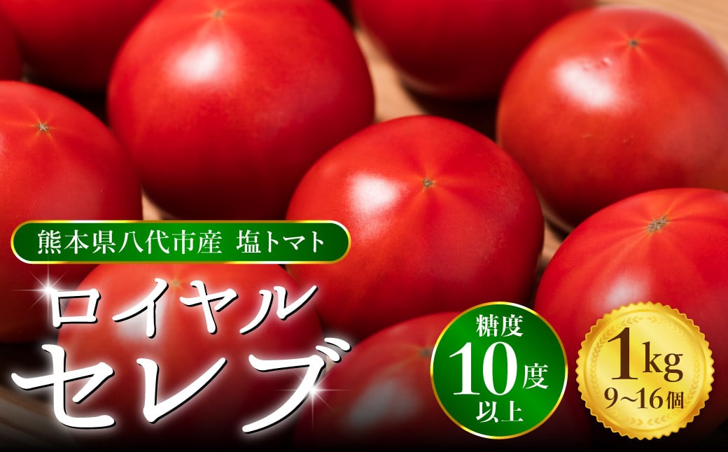 くまもと塩トマト ロイヤルセレブ 1kg（9個～16個） 糖度10度以上 厳選 はちべえ トマト 八代市産 塩トマト 贈答用