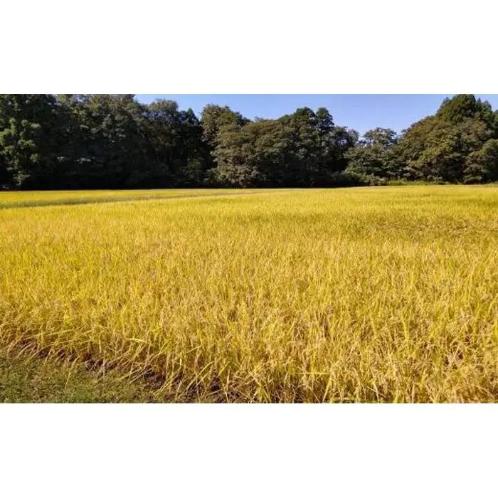【新米予約】令和８年産「五つ星お米マイスター」の南魚沼産新之助　精米２kg×３回（毎月定期便）【定期便 銘柄米 ブランド米 精米 新之助 魚沼産 新潟米 産地直送 お米 米 こめ コメ ご飯 御飯 ご