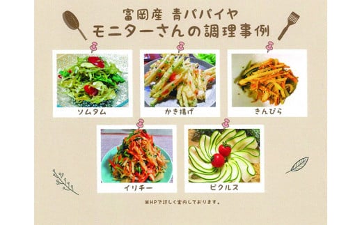 ＜先行予約＞ 酵素の王様 フレッシュ 青パパイヤ 合計3kg (約500g×5～6個)  パパイヤ ビタミン ミネラル アミノ酸 食物繊維 ポリフェノール 野菜 食品 F20E-697