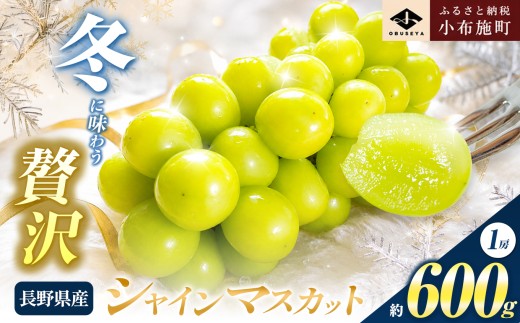【 先行受付 】 蔵出し冬のシャインマスカット 約600g 1房 ［小布施屋 ］長野県 ぶどう フルーツ 果物 冷蔵便 クール便 令和8年産【2026年11月中旬～2027年2月発送】［A-706］