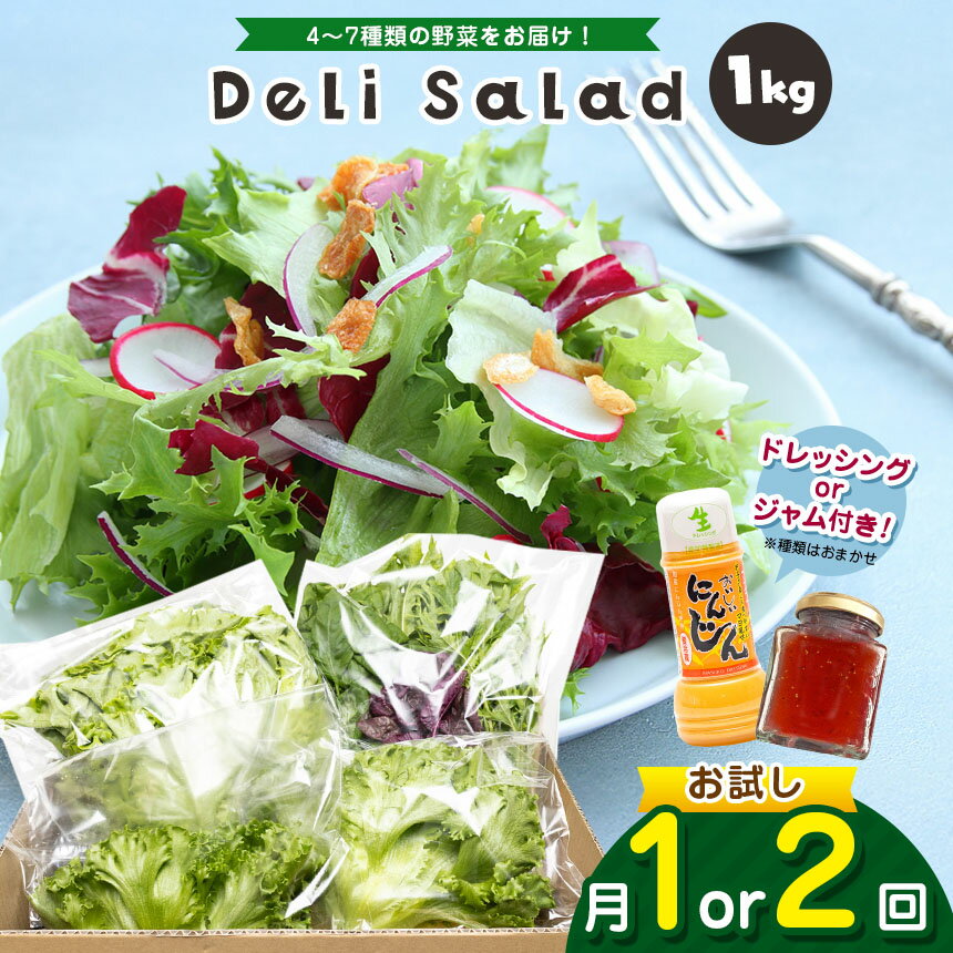 【ふるさと納税】【 選べる回数 1回 or 2回 】 サラダミックス ＼ デリサラダ ／ Deli Salad ★ ドレッシング or ジャム付き セット 1kg | アグリード お試し サラダ お手軽 ミックス野菜 西洋ハーブ 個別包装 新鮮 美しい野菜 水耕栽培 イチオシ 千葉県 君津