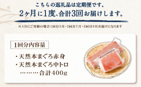 【 定期便 全３回 隔月 お届け 】まぐろの王様！天然本まぐろ味わいセット(本鮪 サク 柵 中トロ 赤身 鮪 刺身 )