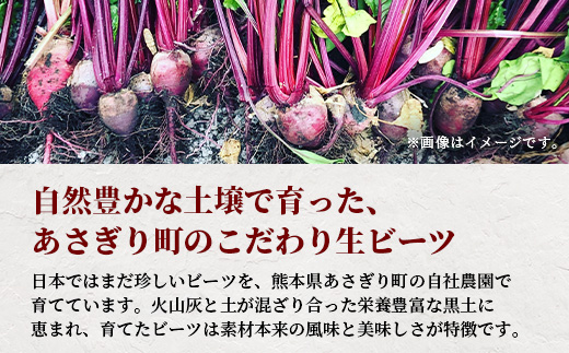 自社農園栽培 生 ビーツ 2kg 熊本県 産 国産 スーパーフード 高栄養 びーつ 生 あさぎり農園 野菜 根菜 美容 健康 115-0612