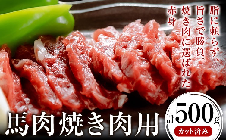 馬肉焼肉用 500g カット済 桜屋 《60日以内に出荷予定(土日祝除く)》熊本県 南阿蘇村 送料無料 肉 馬肉 焼肉---sms_fsybnyn_60d_26_13000_500g---