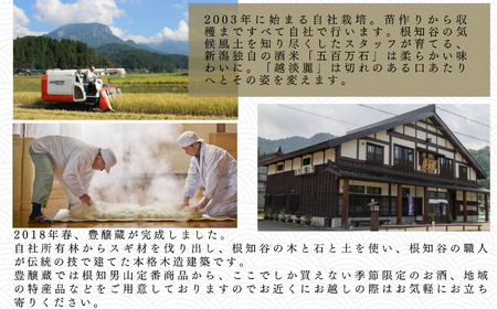 根知男山 山廃仕込み720ml×2本セット 純米 自社栽培米使用 日本酒 地酒 新潟 糸魚川 蔵元直送 酒米 楽しむ酒 こだわりの酒