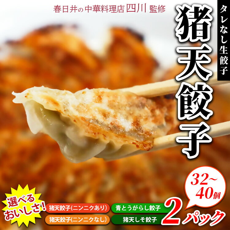 【ふるさと納税】春日井の中華料理店四川監修タレなし生餃子「猪天餃子」