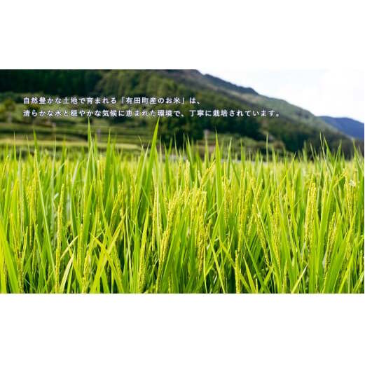 【令和7年度 新米】【5分づき米】頑固米屋のこだわり米夢しずく 5kg×2袋 計10kg【西山食糧】令和7年度 新米 10キロ 10kg お米 米 ゆめしずくK35-3_イメージ4