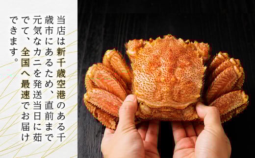 北海道産【朝ゆで】毛ガニ（500g前後）1尾 期間限定！＜かにのマルマサ＞