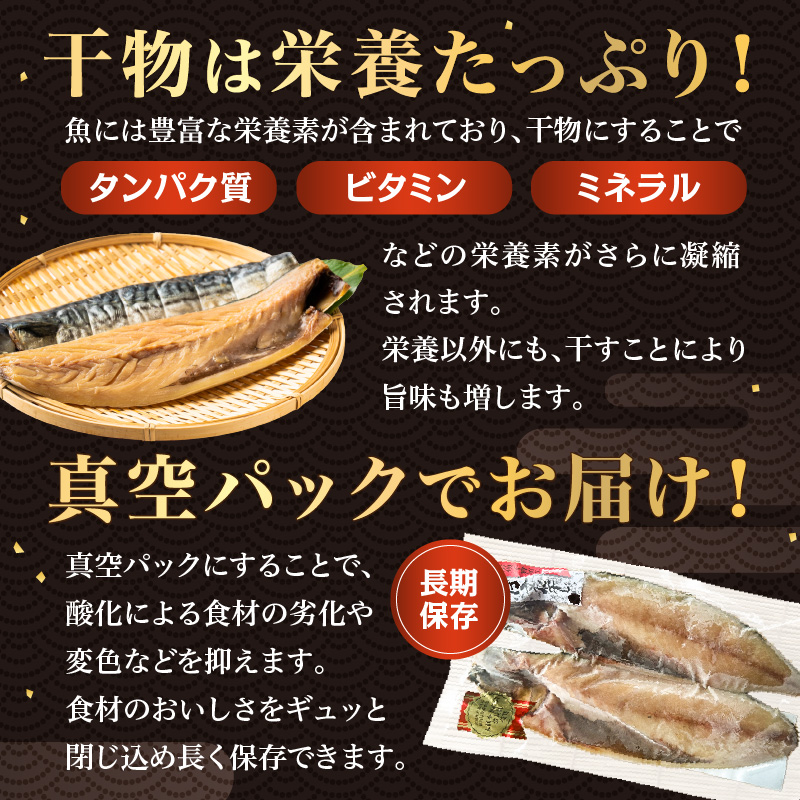 さば文化干し2枚真空×4パック 魚 干物 鮮度 手作り 冷凍 レシピ 肉厚 海鮮 海産物 簡単調理 お手軽 酒の肴 おつまみ おかず