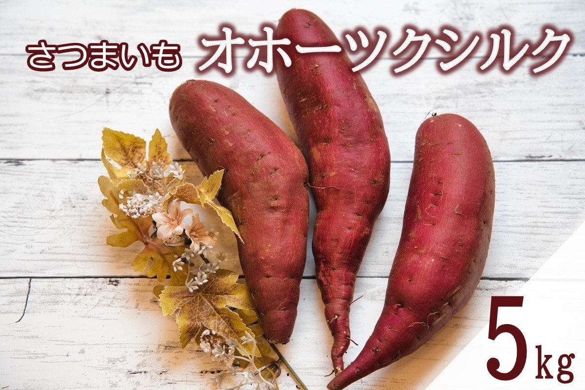 【予約：2025年11月中旬から順次発送】北海道常呂町産 サツマイモ オホーツクシルク 5kg ( さつまいも さつま芋 焼き芋 大学芋 )【111-0001】
