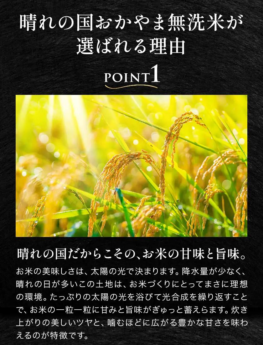 無洗米 米 5kg 12ヶ月定期便 晴れの国おかやま無洗米 プレミアム 米