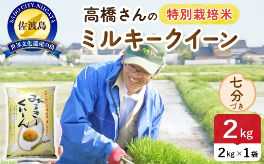 令和8年産 佐渡島産ミルキークイーン 七分づき2kg 特別栽培米 | 新潟県産ミルキークイーン 新潟産ミルキークイーン 佐渡産ミルキークイーン ミルキークイーン 特別栽培米 お米 米 七分づき おこめ コメ 2キロ にいがた さど 新潟県 佐渡市