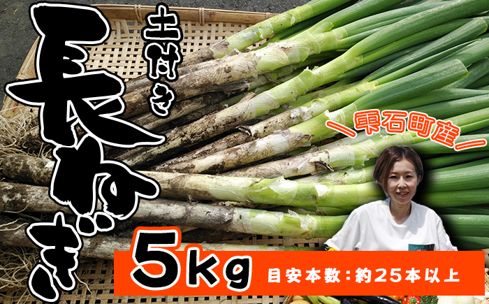 岩手県産 極楽野 土付き 長ねぎ 5kg 以上 目安本数約 25本 以上【高橋農園】／ 長ネギ 長葱 ねぎ ネギ 葱 白ねぎ 白ネギ 白葱 新鮮 野菜 やさい 人気野菜 国産 EM栽培 産地直送 農家