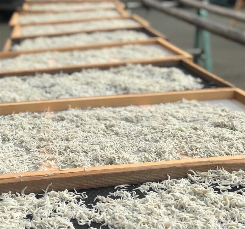 湘南大磯しらす網元 松道丸・釜揚げしらす 3パック 600g （200g×3）【 しらす 魚介類 海鮮 惣菜 おかず ギフト 簡単調理 冷凍配送 送料無料 大磯グルメ 神奈川県 大磯町】