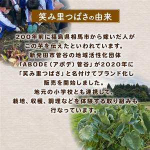 先行予約 里芋 笑み里つばさ さといも 産地直送 里芋 国産 期間 野菜 髙橋農園 里芋 新潟 新発田 takahashi003
