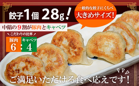 豚のジューシー餃子 9個入り×10袋(計90個) FY25-007
