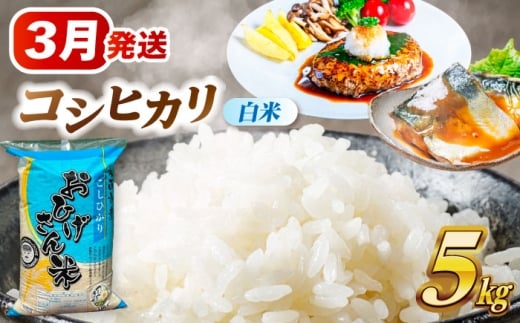 【3月発送】 コシヒカリ 白米 5kg 米 お米 5kg 5キロ 白米 精米 コメ ご飯 ごはん 愛知県産 国産 県産米 国産米 コシヒカリ こしひかり 発送 時期 選べる 産地直送 15000円 1万5千円 令和7年 愛西市 / 脇野コンバイン [AECP021-7]