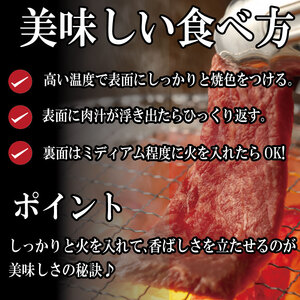 国産 ハラミ 冷凍 500g 特選 ハラミ