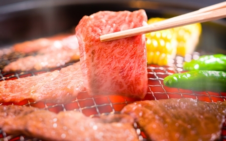 伊賀牛 【月3×12回 計36回発送】肉の横綱 伊賀牛まるごと食べ尽くし 伊賀牛 【cook-tkb0005】