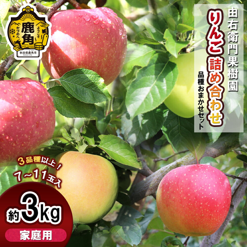 【ふるさと納税】《 先行予約 》 由右衛門果樹園 りんご 家庭用 おまかせ詰め合わせ 約3kg 7〜11玉（3品種以上） 農家直送 産地直送 食感 果汁 リンゴ 完熟 お中元 お歳暮 贈り物 お見舞い グルメ ギフト 故郷 秋田 あきた 鹿角市 鹿角 送料無料 【由右衛門果樹園】
