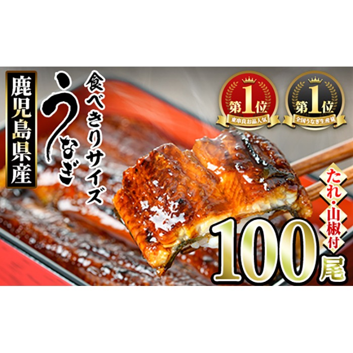 【3344331a】＜食べきりサイズ！＞東串良町のうなぎ蒲焼(無頭)(100尾・計10000g・タレ、山椒付) うなぎ 高級 ウナギ 鰻 国産 蒲焼 蒲焼き たれ 鹿児島 ふるさと 人気 【アクアおおすみ】