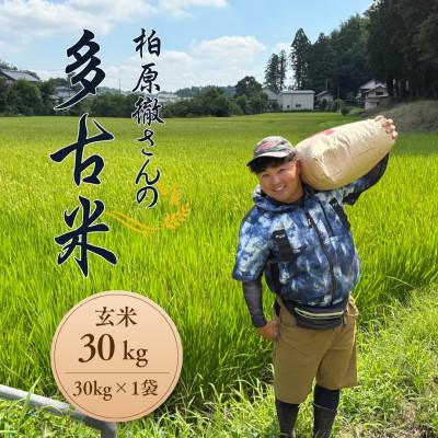 ふるさと納税 多古町 多古米セレクション　柏原徹さんの多古米コシヒカリ　玄米30kg　令和7年産