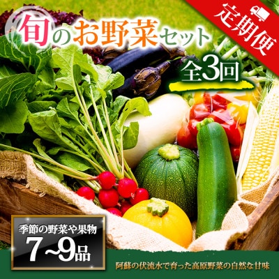 【毎月定期便】季節のお野菜セットLサイズ 旬のお野菜を厳選してお届け全3回【配送不可地域：離島】【4071068】