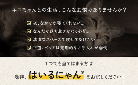 【ビスケットベージュ】はいるにゃんフランネル ≪Lサイズ≫_13-J203-bb