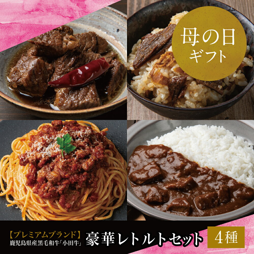 【ふるさと納税】【母の日ギフト】豪華レトルト4種セット (カレー・パスタ・牛とろ煮込み・混ぜご飯の素) プレミアムブランド「小田牛」黒毛和牛 牛肉 惣菜 常温保存 簡単調理 電子レンジ 湯煎 レトルト 和食 洋食 常温 小田畜産 南さつま市 贈り物 ギフト 贈答用 送料無料