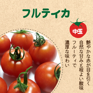 野菜 トマト ミニトマト 4kg 3種 食べ比べ 完熟 ギフト セット 冷蔵 詰め合わせ 千果 シンディスイート かれん とまと ふるーつとまと トマト とまと tomato 美味しい 甘い 野菜 サ