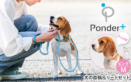 No.459-02 犬の首輪＆リードセット さんぽ用 ポンダープラス ピンク M ／ ペット用品 犬用品 ペットグッズ 散歩グッズ ワンタッチ 着脱簡単 ロック付き 高耐久 おしゃれ 丈夫 カラフル ハンドメイド 手作り 手編み パラコード 革 レザー 大阪府