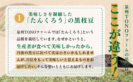 【先行予約】畑から直送・朝採り黒枝豆1.8kg