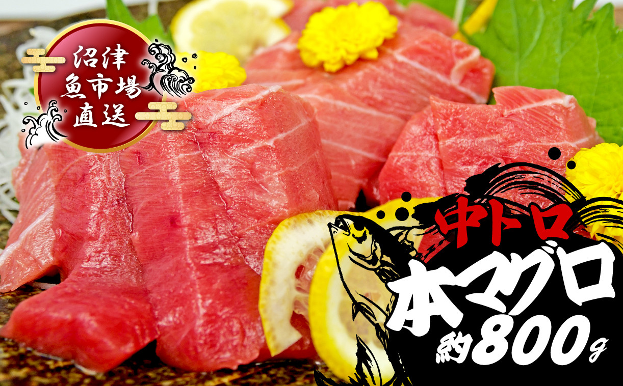 
                  本マグロ 中とろ 800g  マグロ トロ 鮪 海鮮 晩酌 冷凍 刺し身 まぐろ さしみ 柵 皮付き 海鮮丼 小分け 中トロ 刺身 お刺身 国産マグロ 漬け ネギトロ 産地直送 赤身 冷凍 静岡 沼津
                