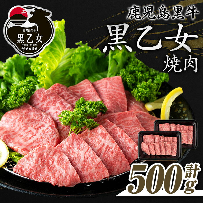 【ふるさと納税】鹿児島黒牛 黒乙女 和牛モモ焼肉(計500g・250g×2P) 黒毛和牛 黒牛 黒乙女 牛肉 牛 肉 モモ 焼肉 冷凍 小分け 国産 赤身 赤身肉【ナンチク】