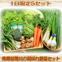 【ふるさと納税】【1日限定5セット】南房総鴨川の朝採れ野菜セット [0014-0027]