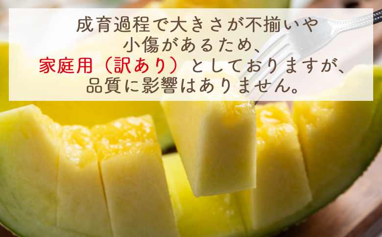 マスクメロン 2玉 家庭用 - 国産 メロン 果物 フルーツ 青果 濃厚 デザート 訳あり 訳アリ ご家庭用 不揃い 傷 やすらぎ市 高知県 香南市 常温 yr-0089