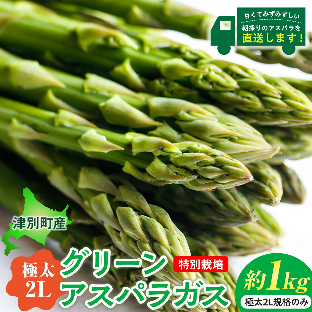 【ふるさと納税】令和8年産 アスパラガス（極太2L） 約1kg 特別栽培 細川農園 | グリーンアスパラ グリーンアスパラガス アスパラ 極太2L規格 野菜 春野菜 朝採れ 新鮮 極太 サラダ 天ぷら 炒め物 旬 特産 産地直送 北海道 津別町 送料無料