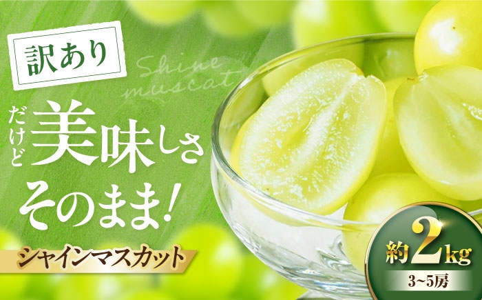 
                  シャインマスカット 【先行予約】【2026年9月中旬より順次発送】 訳あり シャインマスカット 約2kg（3～5房）シャインマスカット しゃいんますかっと shinemuscat ブドウ 葡萄 果物 フルーツ 愛媛県大洲市/沢井青果有限会社 訳アリ ワケあり わけあり 不揃い [AGBN056]
                