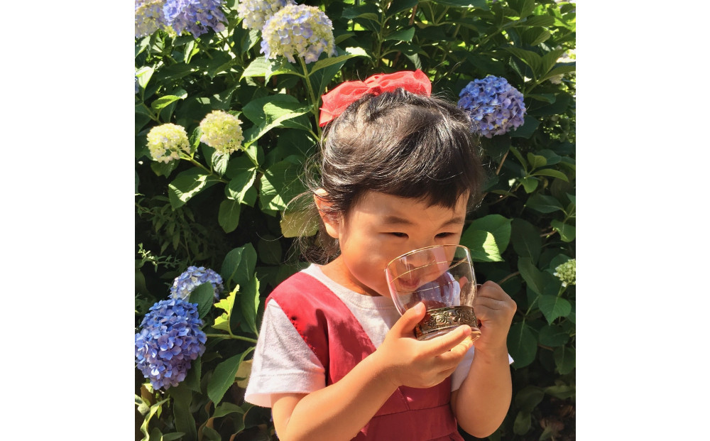 野草茶バラエティーAセット(計50袋)