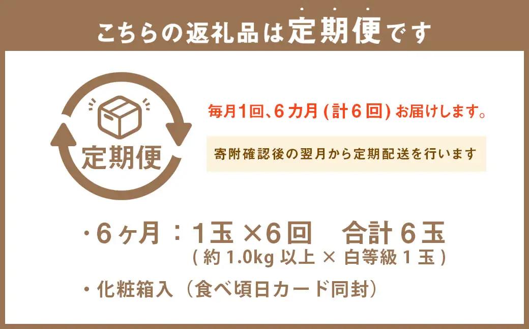 【6ヶ月定期便】静岡県産 高級 アローマメロン 白等級1玉 約1.0kg以上×1玉×6回 計約6.0kg以上 化粧箱入 果物 フルーツ メロン めろん 青肉 高級ブランドメロン ブランドメロン 高級メ