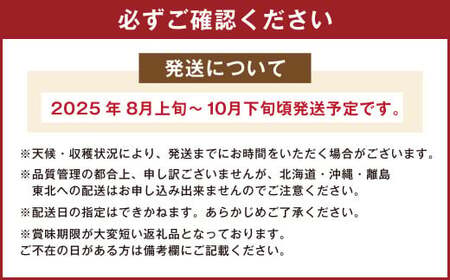 福岡県産 無花果 とよみつひめ 300g×4パック 合計1.2kg いちじく いちぢく フルーツ 果物 国産【2025年8月上旬～10月下旬発送予定】