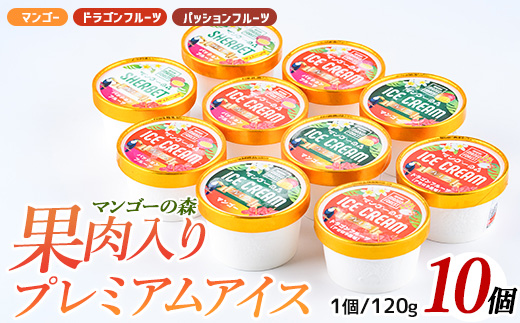 ゴロゴロ果肉入りプレミアムアイス10個セット(マンゴーの森/IB040-008)