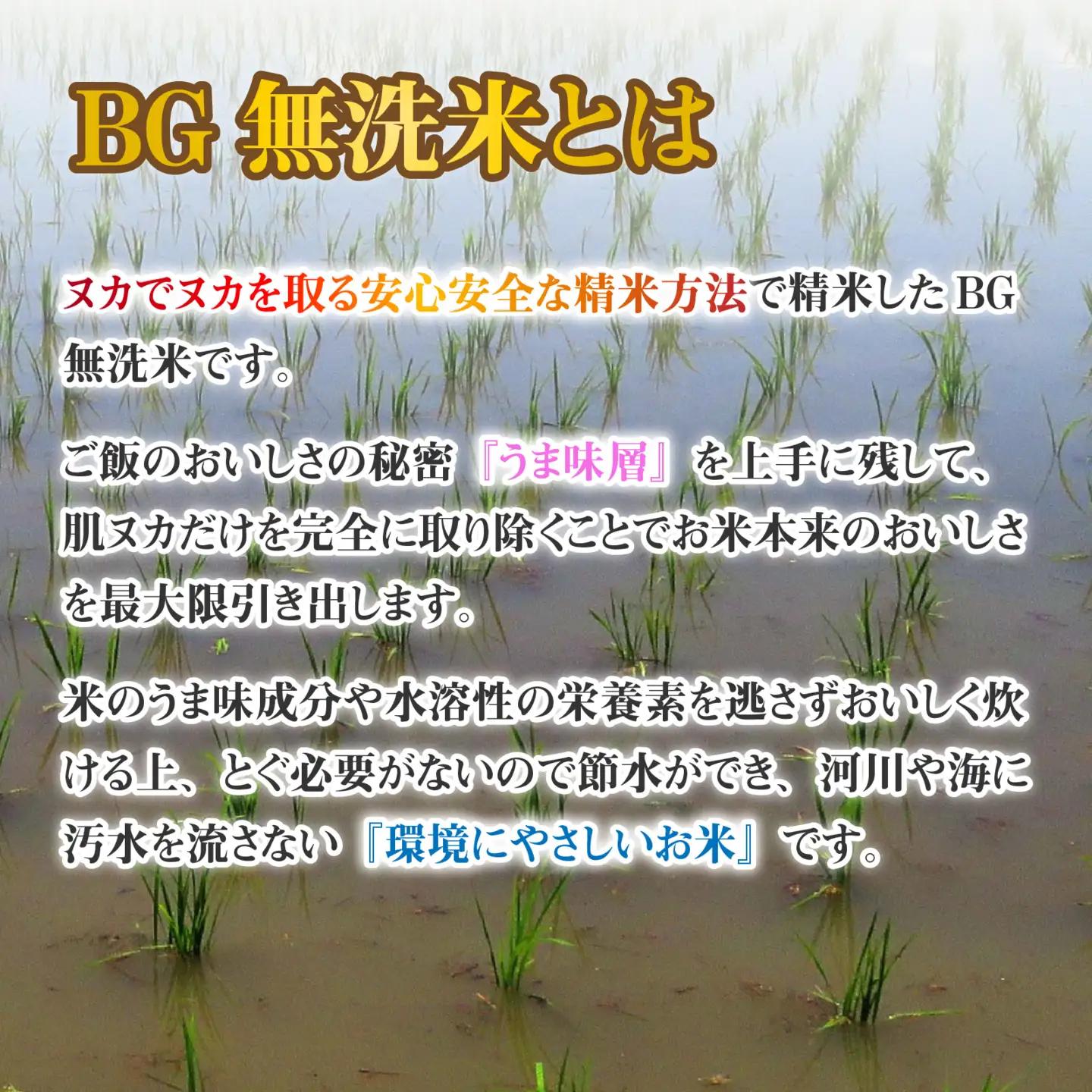 【先行予約】【令和8年産新米早期予約 毎月定期配送・計12回】 BG無洗米 こしひかり 5kg×12回 [P-00406] / こしひかり