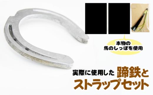 蹄鉄 （ 鉄製 シルバー ）& 馬のしっぽの毛 ストラップ （ 鹿毛 ） 【馬っこパーク・いわて】／ てい鉄 さび止め 錆止め サビ止め 銀 銀色 鉄 加工 馬毛 尻尾 幸運 開運 厄除け 魔除け アイテム 本物 インテリア アクセサリー おすすめ
