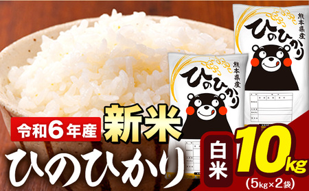 新米 令和6年産 早期先行予約受付中 白米 米 ひのひかり 10kg (5kg袋×2)《11月-12月頃出荷予定》熊本県 大津町 国産 熊本県産 白米 精米 送料無料 ヒノヒカリ こめ お米