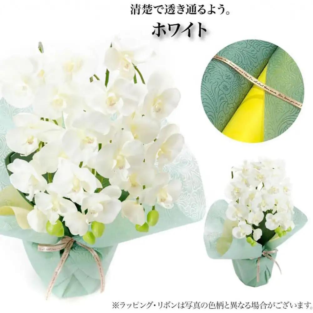 枯れないアーティフィシャルフラワー ミニ胡蝶蘭 3本立ち ホワイト SC触媒加工済